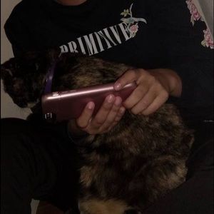 Meet your Posher, Isabel